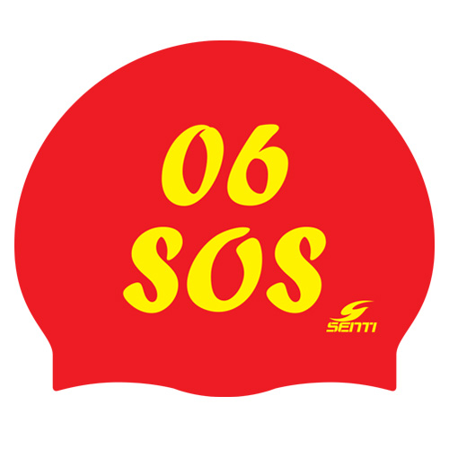 06 SOS <br> <B><FONT COLOR=00bff3>[Silicon / Group Cap]</font></b>