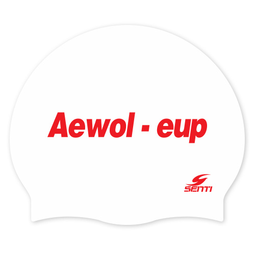 Aewol-eup <BR> <B><FONT COLOR=00bff3>[Silicon / Group Cap]</font></b>