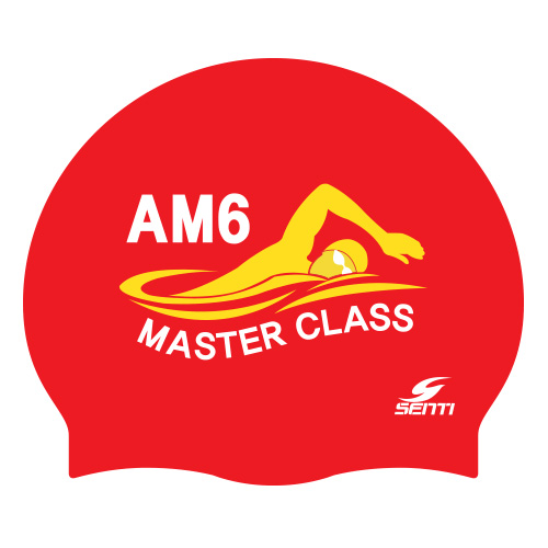 AM6 MASTER CLASS <BR> <B><FONT COLOR=00bff3>[Silicon / Group Cap]</font></b>