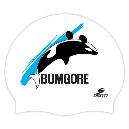 BUMGORE <br> <B><FONT COLOR=00bff3>[Silicon / Group Cap]</font></b>