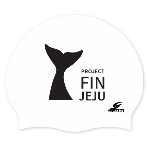 FIN JEJU <BR> <B><FONT COLOR=00bff3>[Silicon / Group Cap]</font></b>