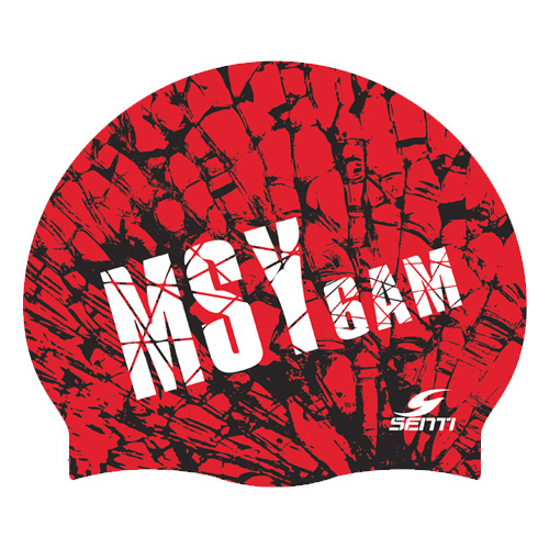 MSY TEAM <br> <B><FONT COLOR=00bff3>[General Silicon / Group Cap]</font></b>