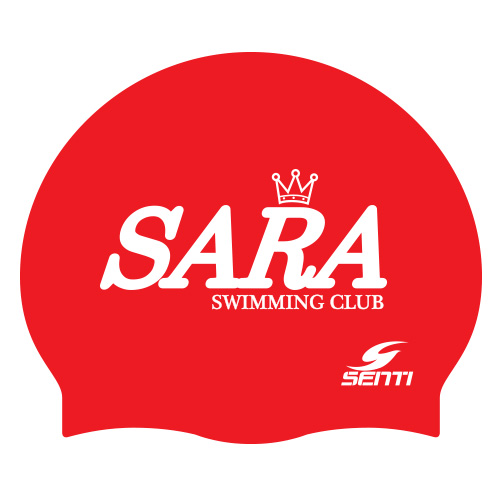 Sara team <br> <B><FONT COLOR=00bff3>[General Silicon / Group Cap]</font></b>