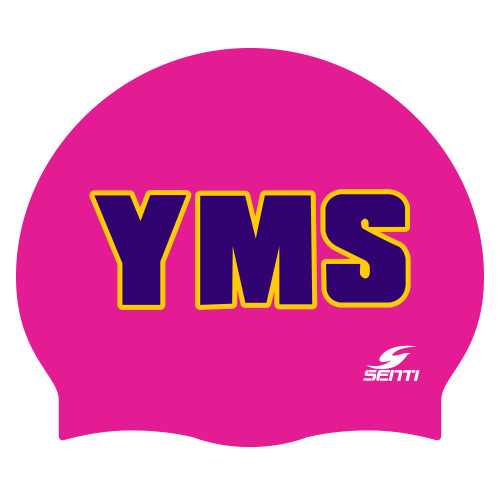 YMS <BR> <B><FONT COLOR=00bff3>[Silicon / Group Cap]</font></b>