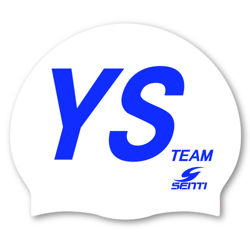 YS TEAM <br> <B><FONT COLOR=00bff3>[General Silicon / Group Cap]</font></b>