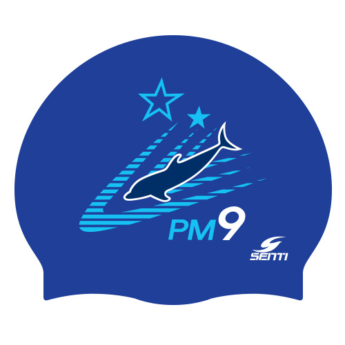 PM9 <BR> <B><FONT COLOR=00bff3>[Silicon / Group Cap]</font></b>