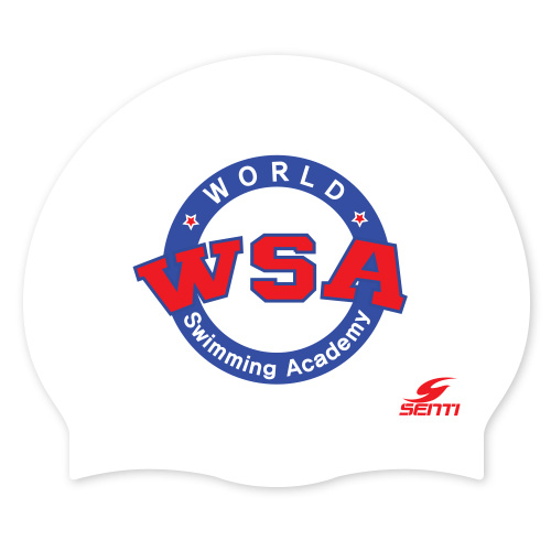 WSA <BR> <B><FONT COLOR=00bff3>[Silicon / Group Cap]</font></b>